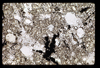 ap1703_11_16
