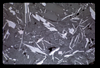 ap1703_12_04