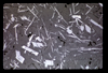 ap1703_12_05