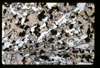 ap1703_13_05