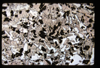 ap1703_13_11
