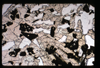 ap1703_13_17