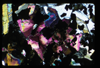ap1703_14_02