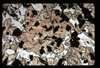ap1703_14_03