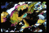 ap1703_14_06