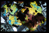 ap1703_14_15