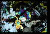 ap1703_14_16