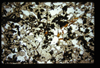 ap1703_15_04