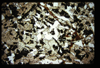 ap1703_15_05