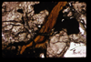 ap1703_15_17