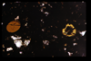 ap1703_15_18
