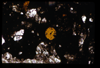 ap1703_15_19