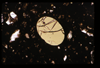 ap1703_16_02
