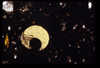 ap1703_16_08