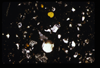 ap1703_16_12