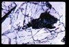 ap1703_17_08