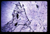 ap1703_17_10