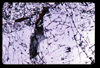 ap1703_17_14