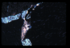 ap1703_17_15