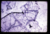 ap1703_17_16