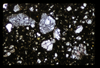 ap1704_01_03