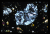 ap1704_01_06