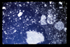 ap1704_02_01