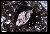 ap1704_02_03