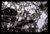 ap1704_02_11