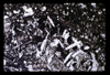 ap1704_02_13