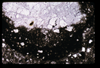 ap1704_03_05
