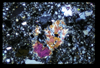 ap1704_03_13
