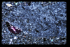 ap1704_03_15