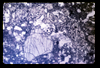 ap1704_03_18