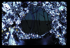 ap1704_04_06