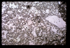 ap1704_04_07