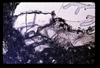 ap1704_04_11