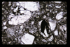ap1704_05_03