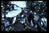 ap1704_05_04