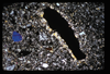 ap1704_07_18