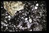 ap1704_08_01