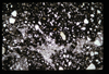 ap1704_08_03