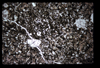 ap1704_09_01