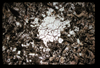 ap1704_09_03