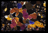 ap1704_09_06