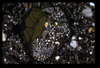 ap1704_09_08