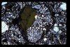 ap1704_09_10