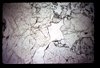 ap1704_10_02