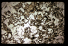 ap1704_10_09