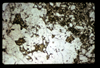 ap1704_10_11